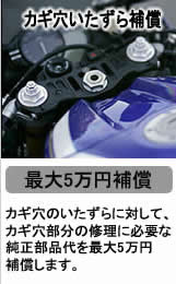 YSP川崎中央　盗難補償制度